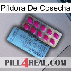 Píldora De Cosecha 35